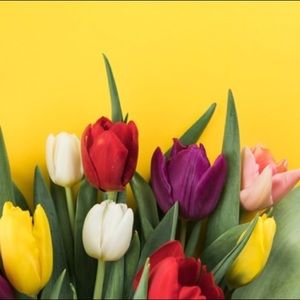 Meet your Posher, Yessica